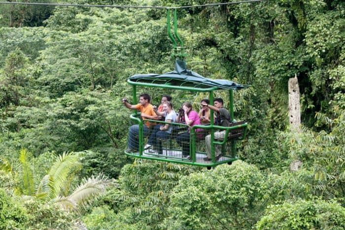 Rainforest adventure book books habitats macmillan children animals theschoolrun buy us