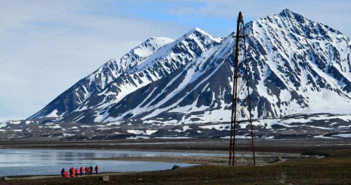 Arctic wildlife expeditions