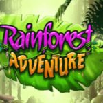 Rainforest adventure holidays