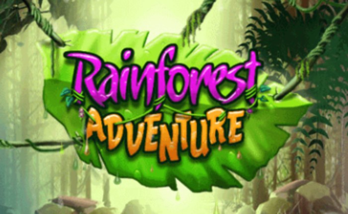Rainforest adventure holidays