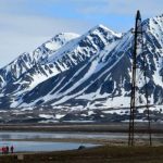 Arctic wildlife expeditions
